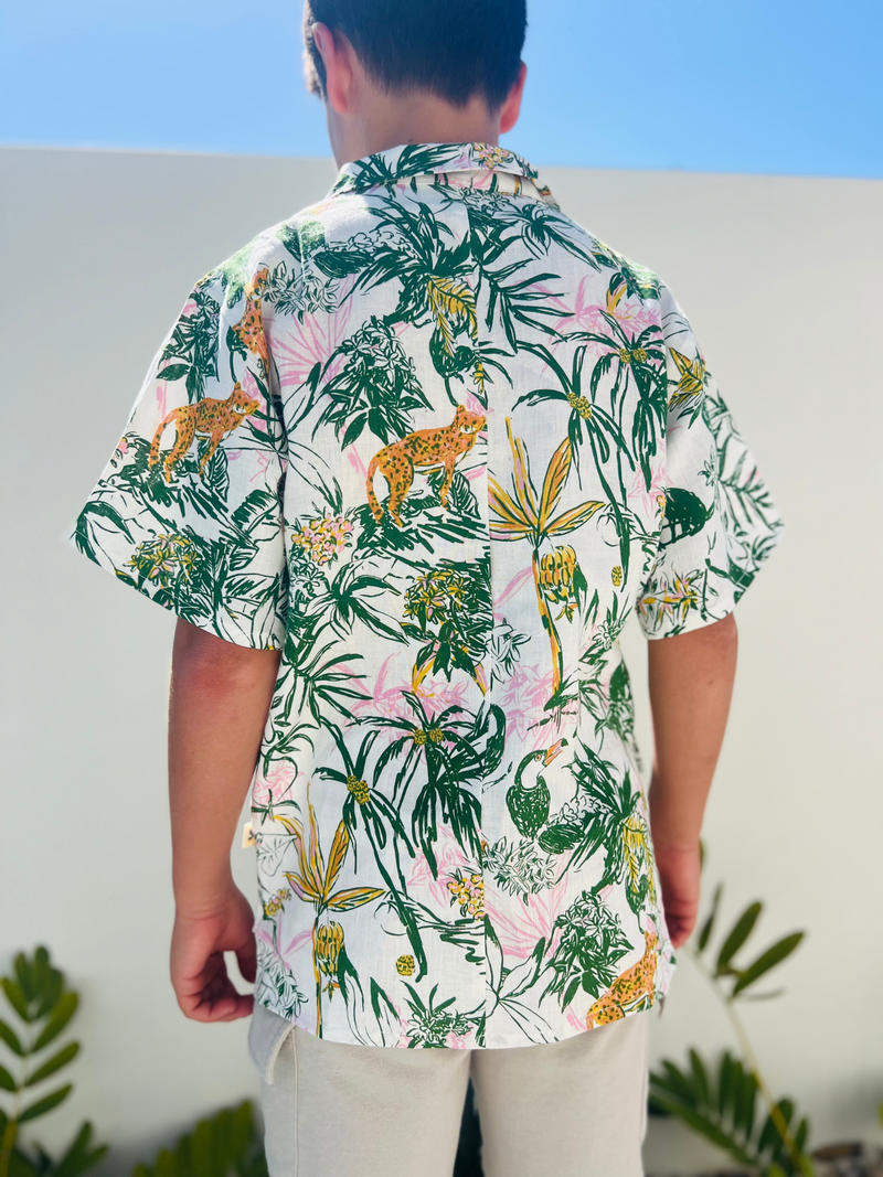 Boÿe Limited - Jungle Dreams