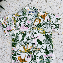 Boÿe Limited - Jungle Dreams