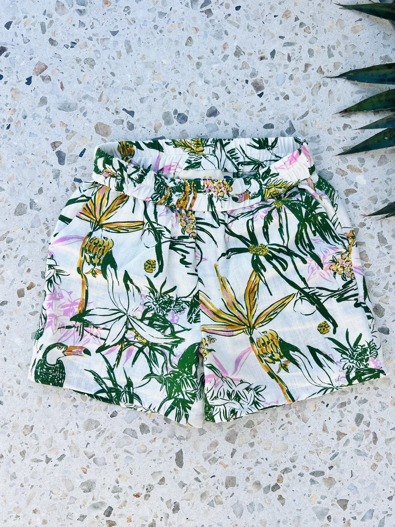 Boÿe Limited - Jungle Dreams